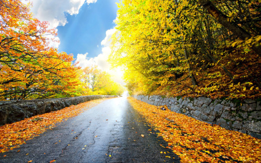 1082357 (a): :2560x1600